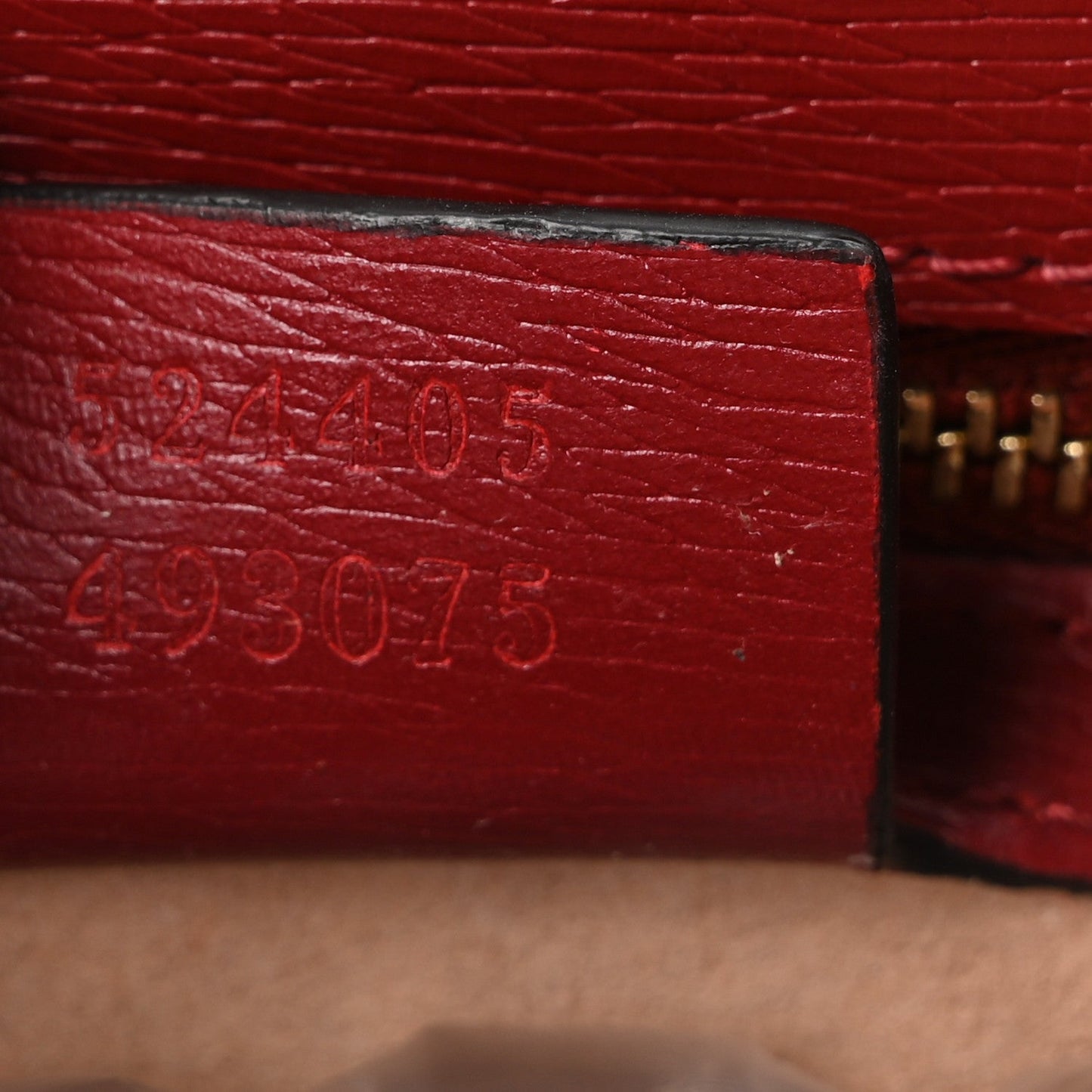 Textured Calfskin Printed Small Sylvie Shoulder Bag Red