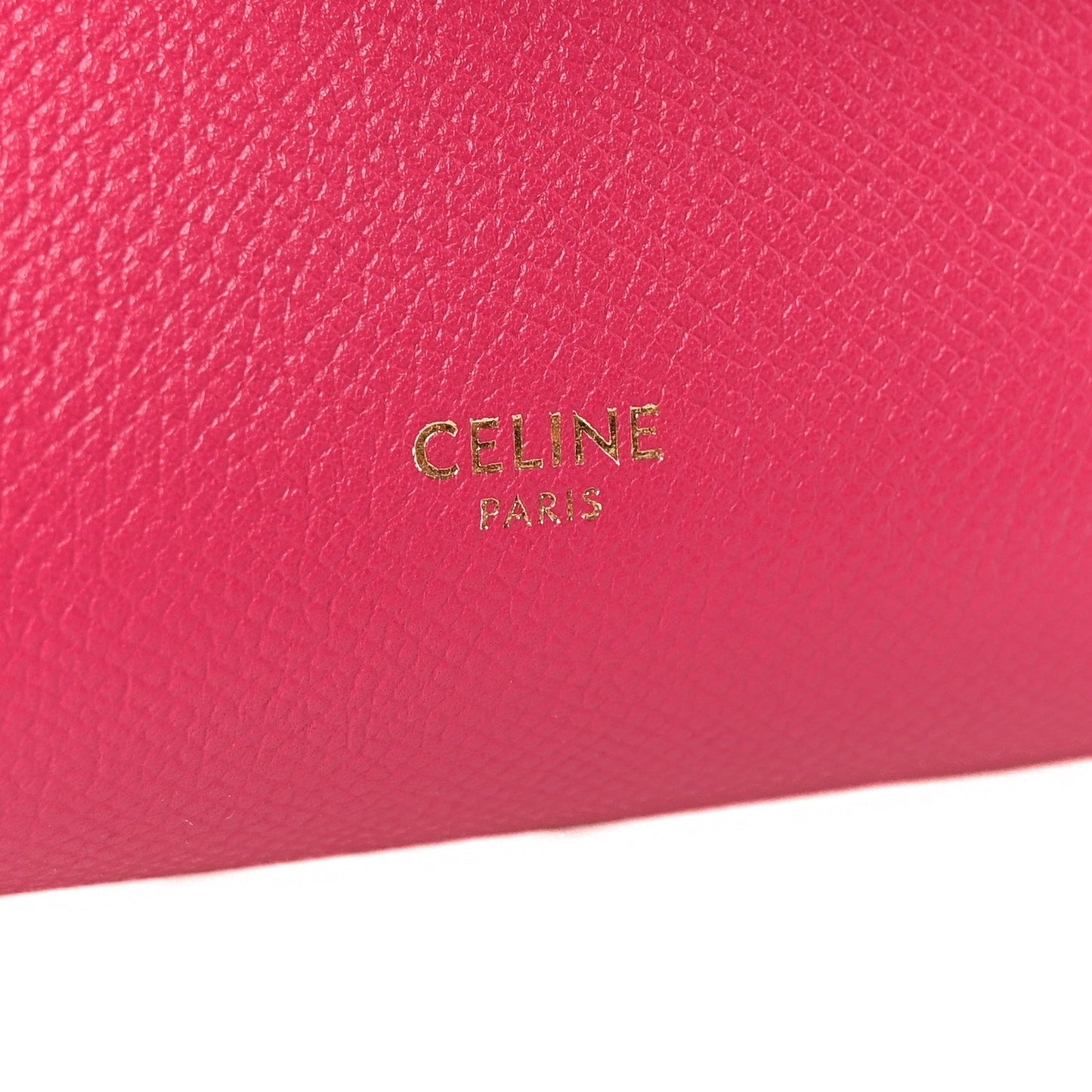 Grained Calfskin Nano Belt Bag Raspberry