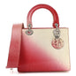 Snakeskin Ombre Medium Lady Dior Red White