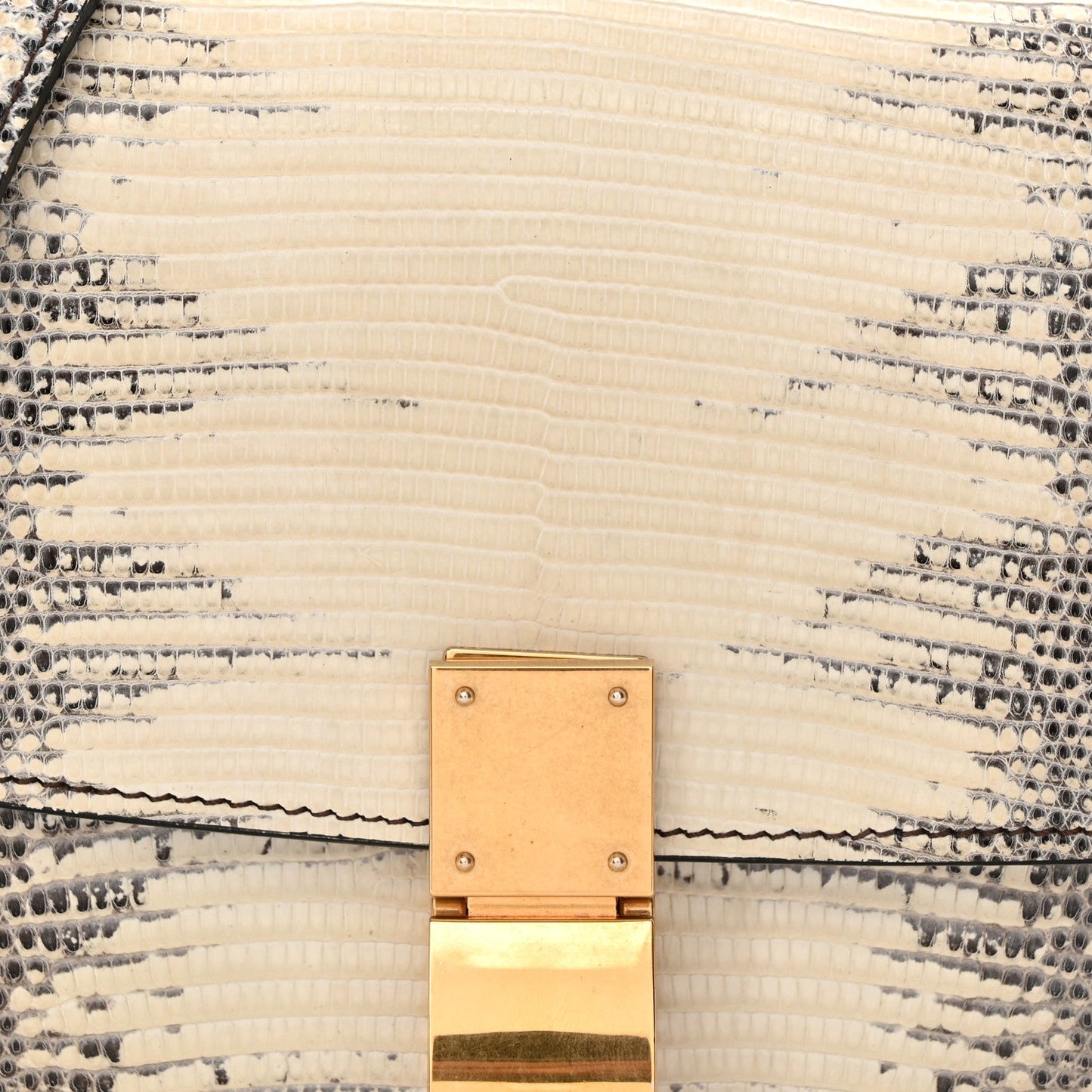 Lizard Small Classic Box Flap Bag Natural