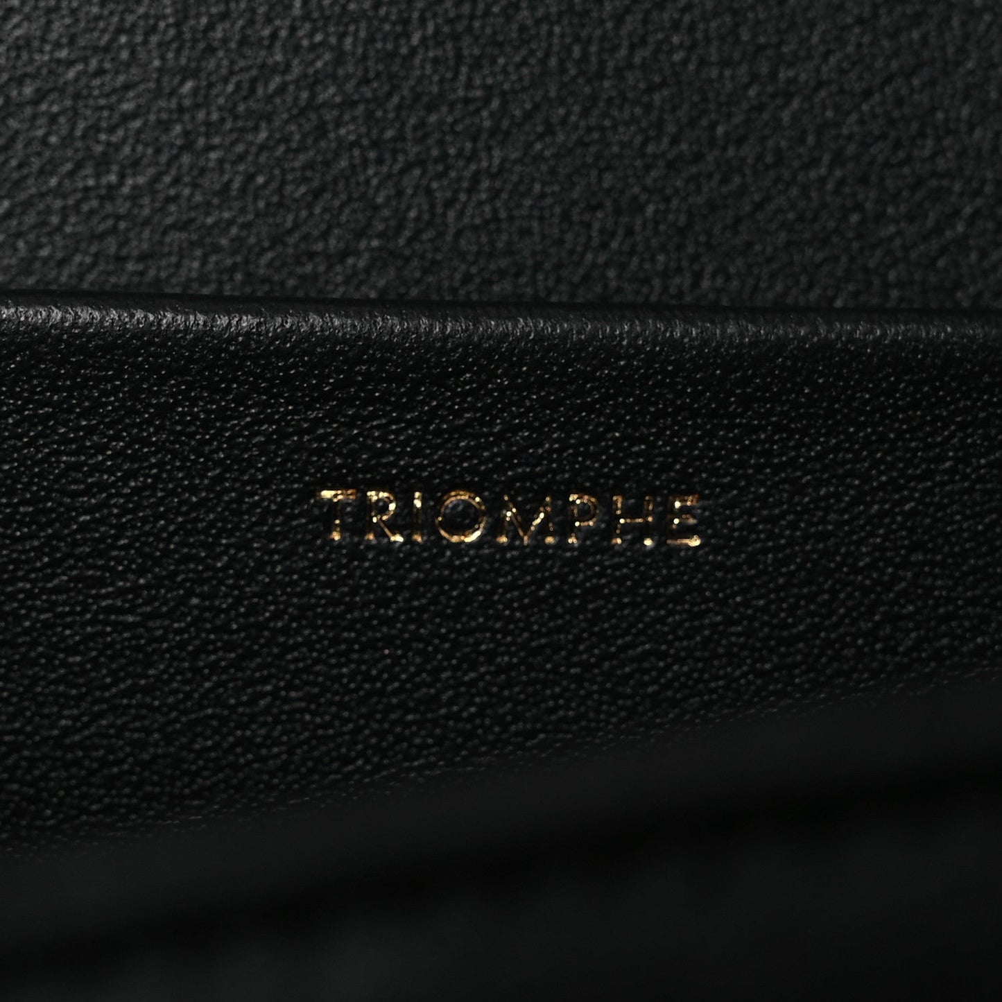 Shiny Calfskin Medium Triomphe Black