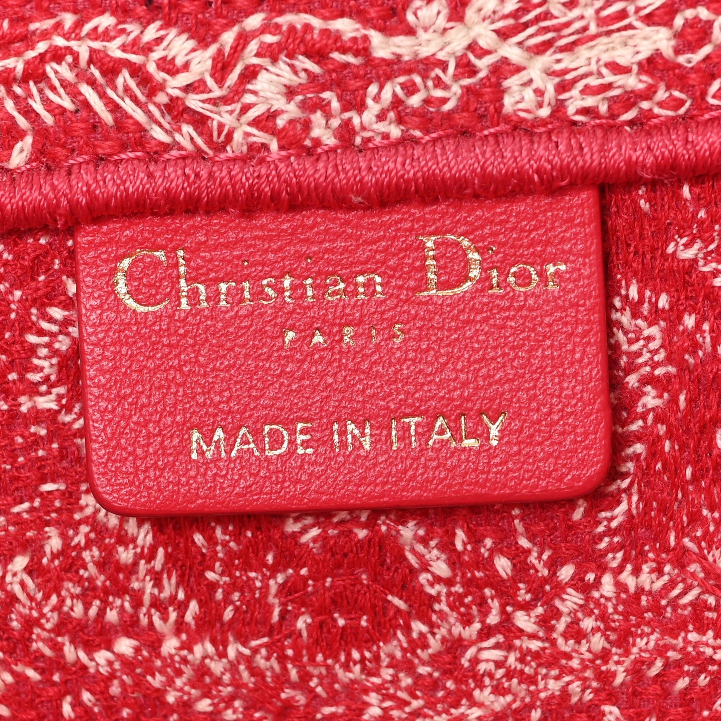 Canvas Embroidered Medium Dioriviera Toile De Jouy Book Tote Raspberry