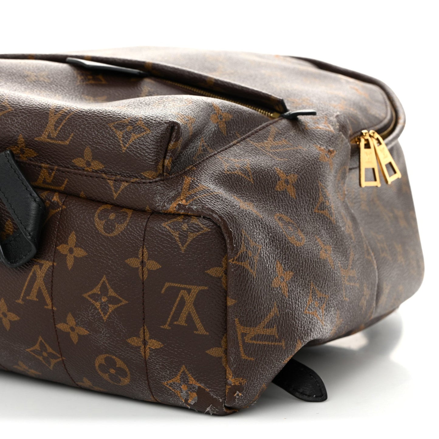 Monogram Palm Springs Backpack MM