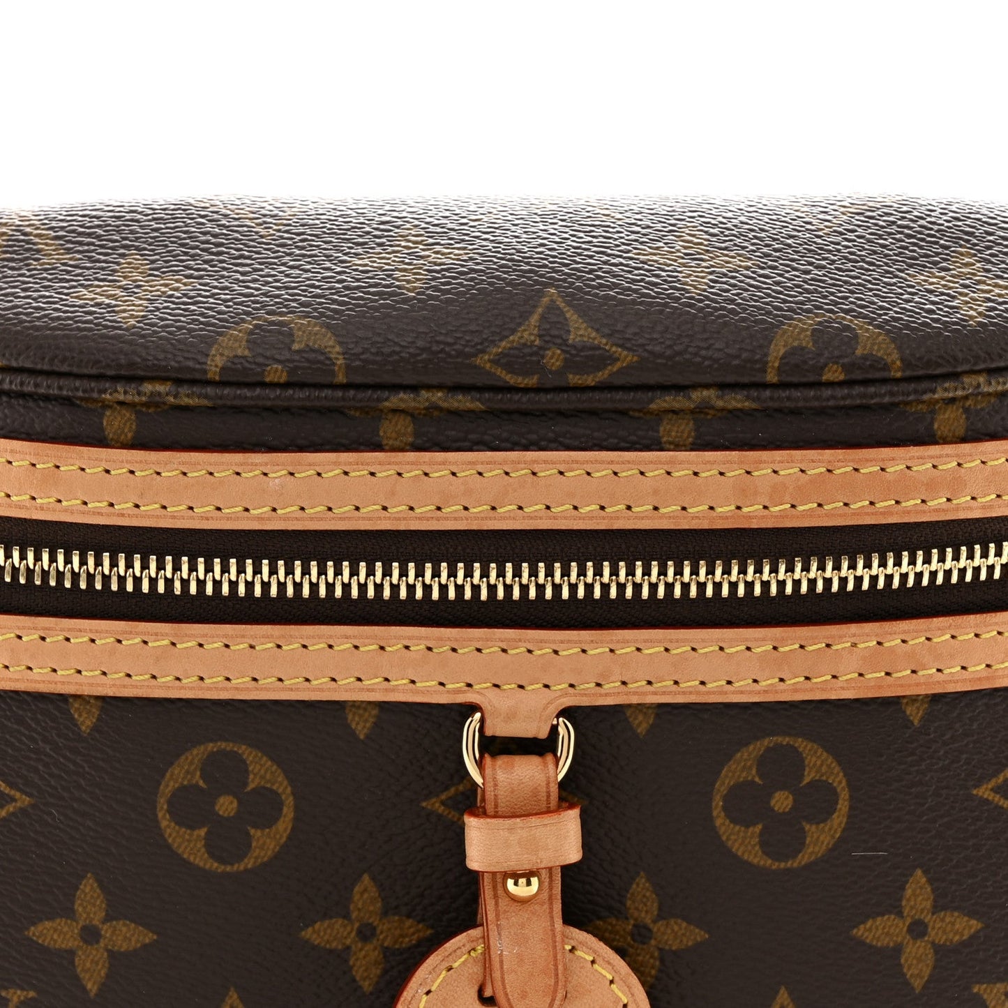 Monogram High Rise Bumbag