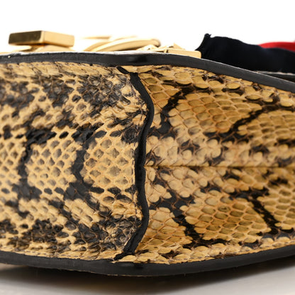Snakeskin Mini Sylvie Chain Shoulder Bag Roccia