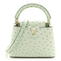 Ostrich Capucines Mini Vert Celadon
