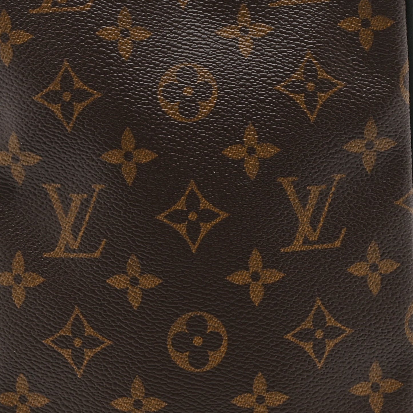 Monogram Solar Ray Utility Harness Bag