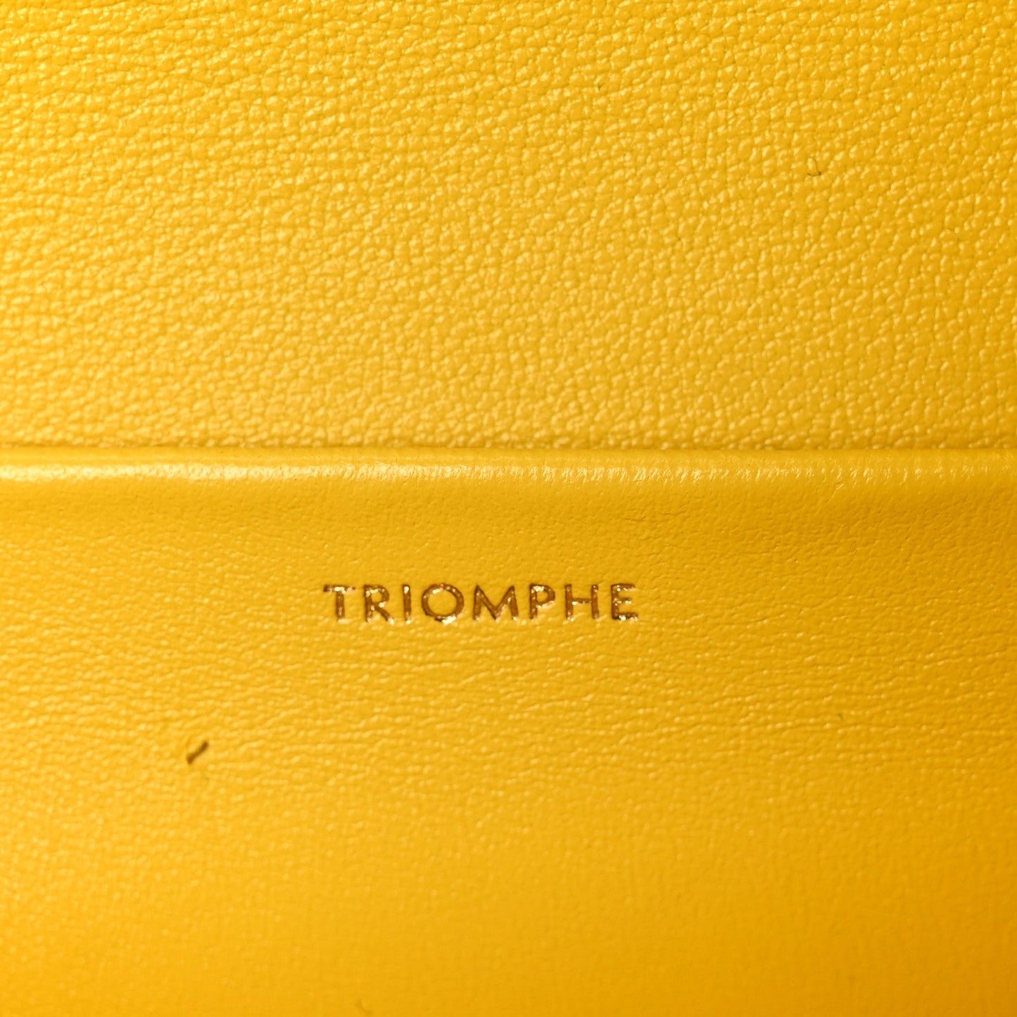 Fluffy Shearling Triomphe Claude Chain Shoulder Bag Yellow