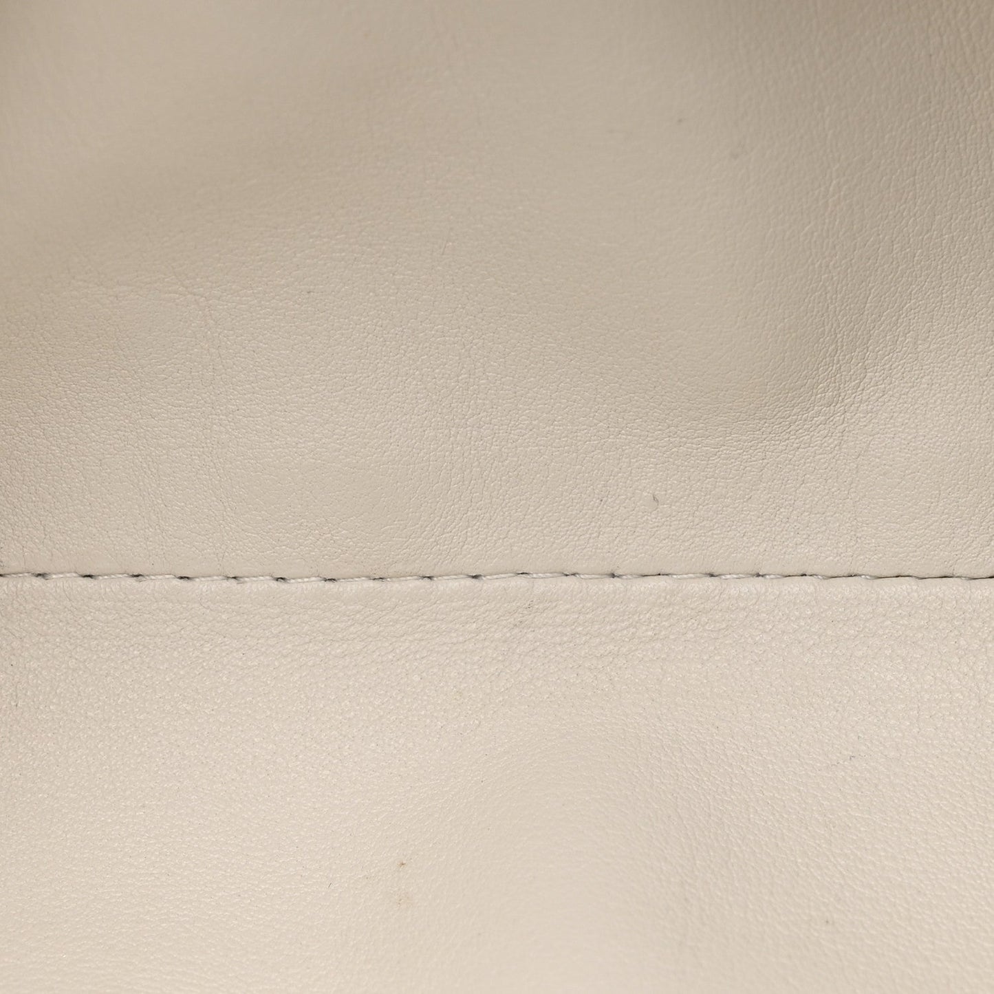Butter Calfskin The Mini Pouch Plaster
