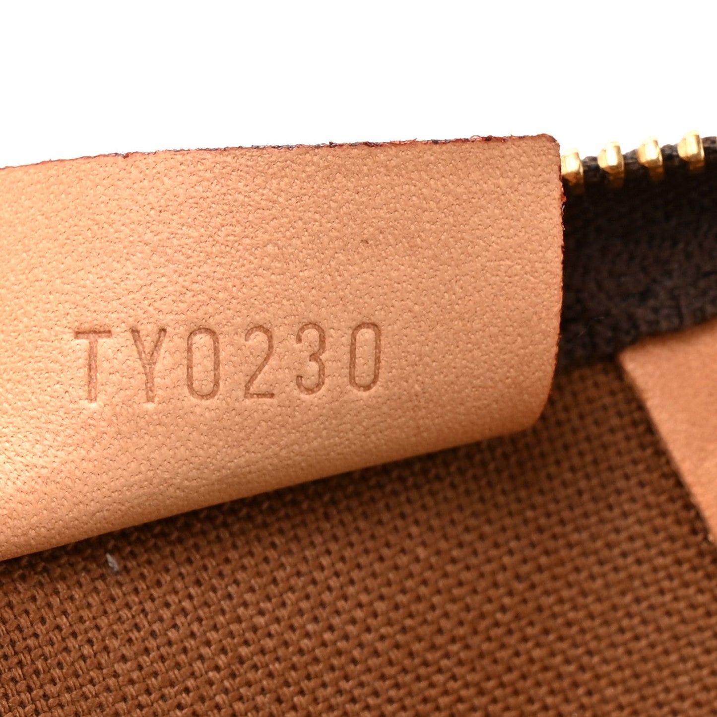 Monogram Nano Speedy