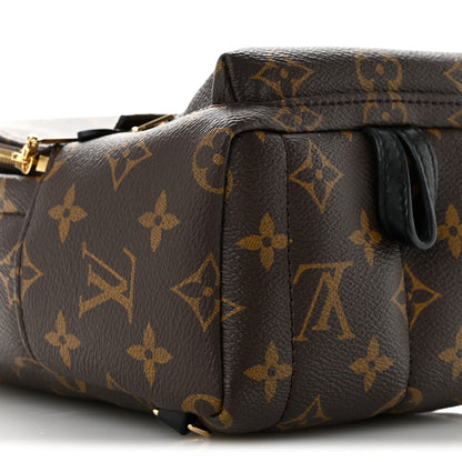 Monogram Palm Springs Backpack Mini