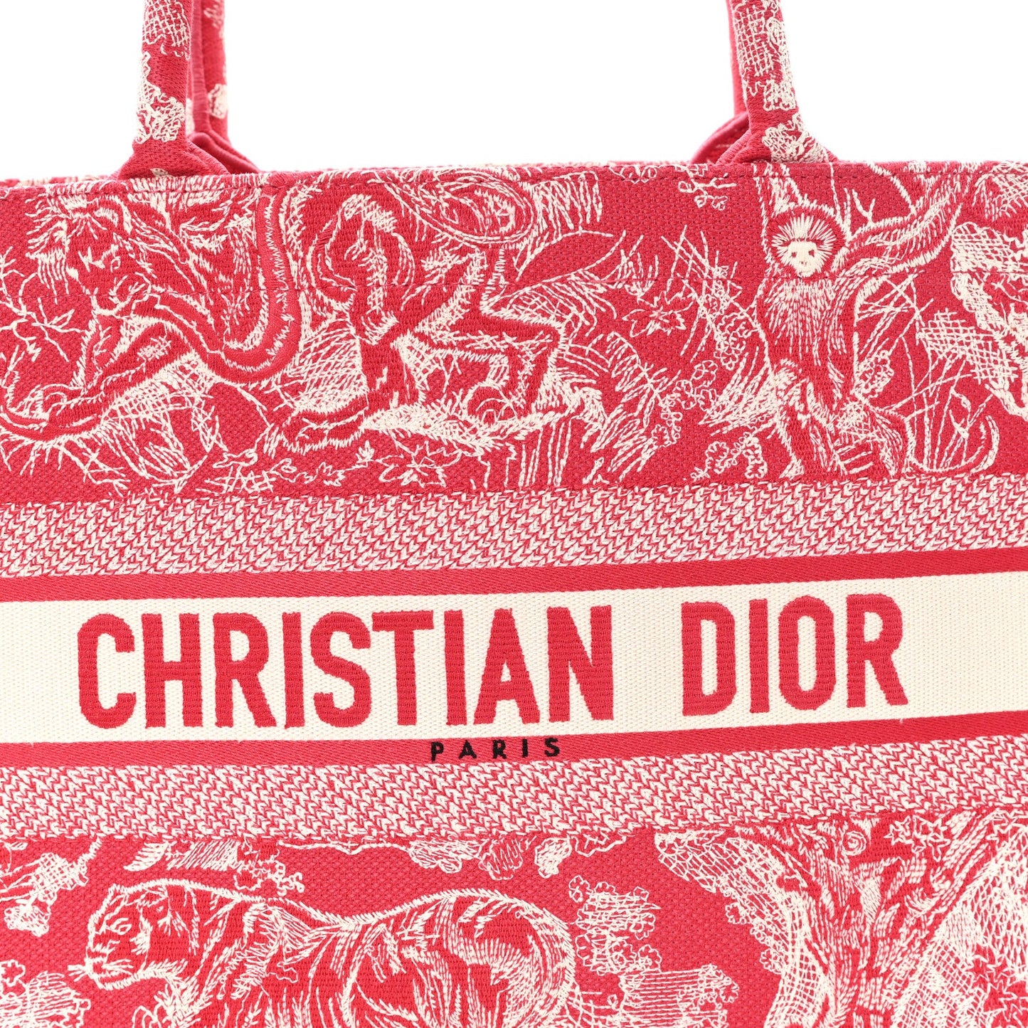 Canvas Embroidered Medium Dioriviera Toile De Jouy Book Tote Raspberry
