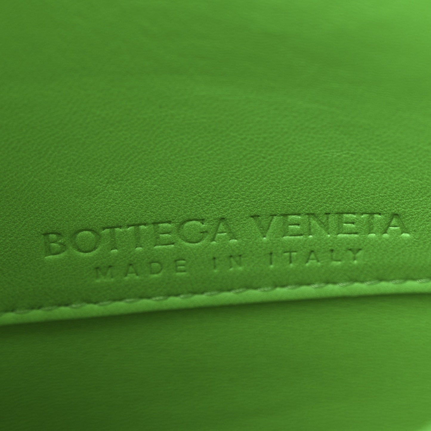 Calfskin Mount Envelope Bag Parakeet