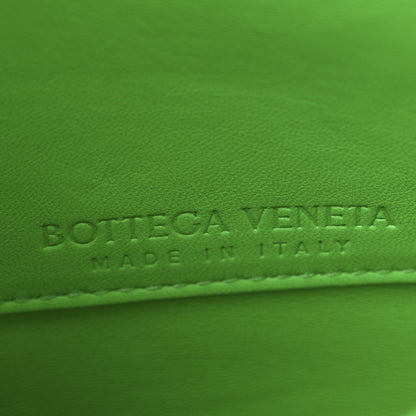 Calfskin Mount Envelope Bag Parakeet