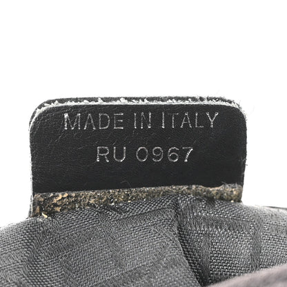 Nylon Cannage Large Lady Dior