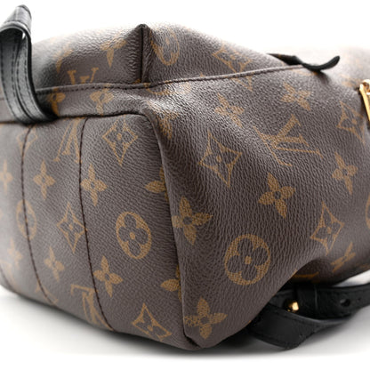 Monogram Palm Springs Backpack PM