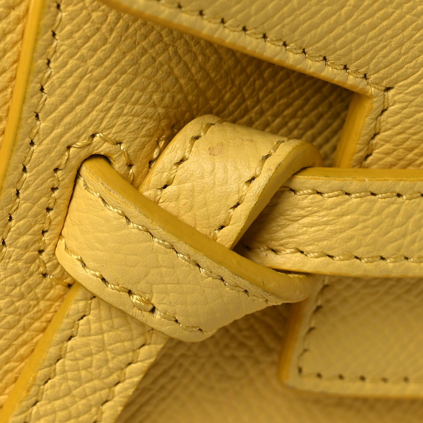 Grained Calfskin Nano Belt Bag Citrus
