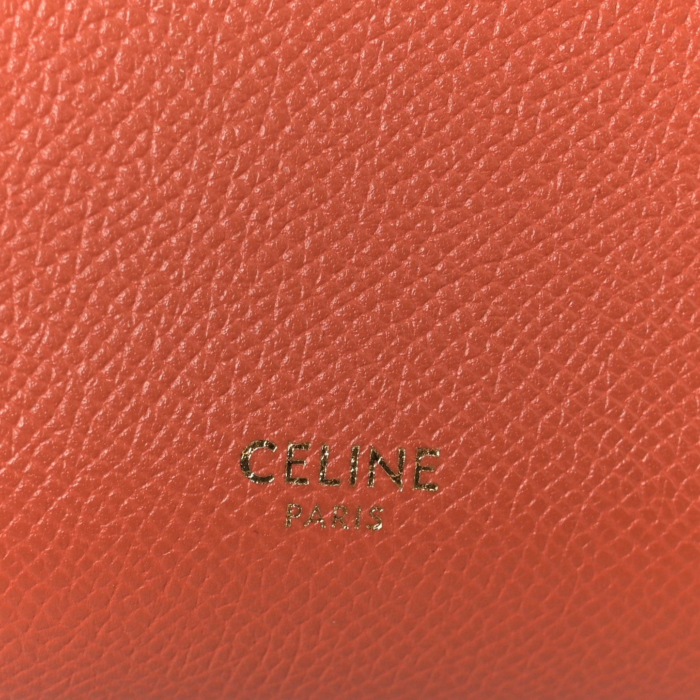 Grained Calfskin Nano Belt Bag Terracotta