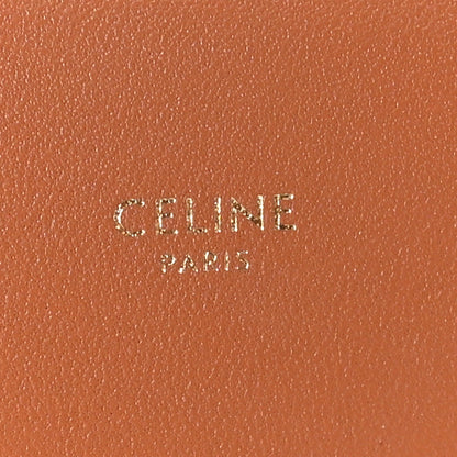 Triomphe Canvas Asymmetric Clutch Tan