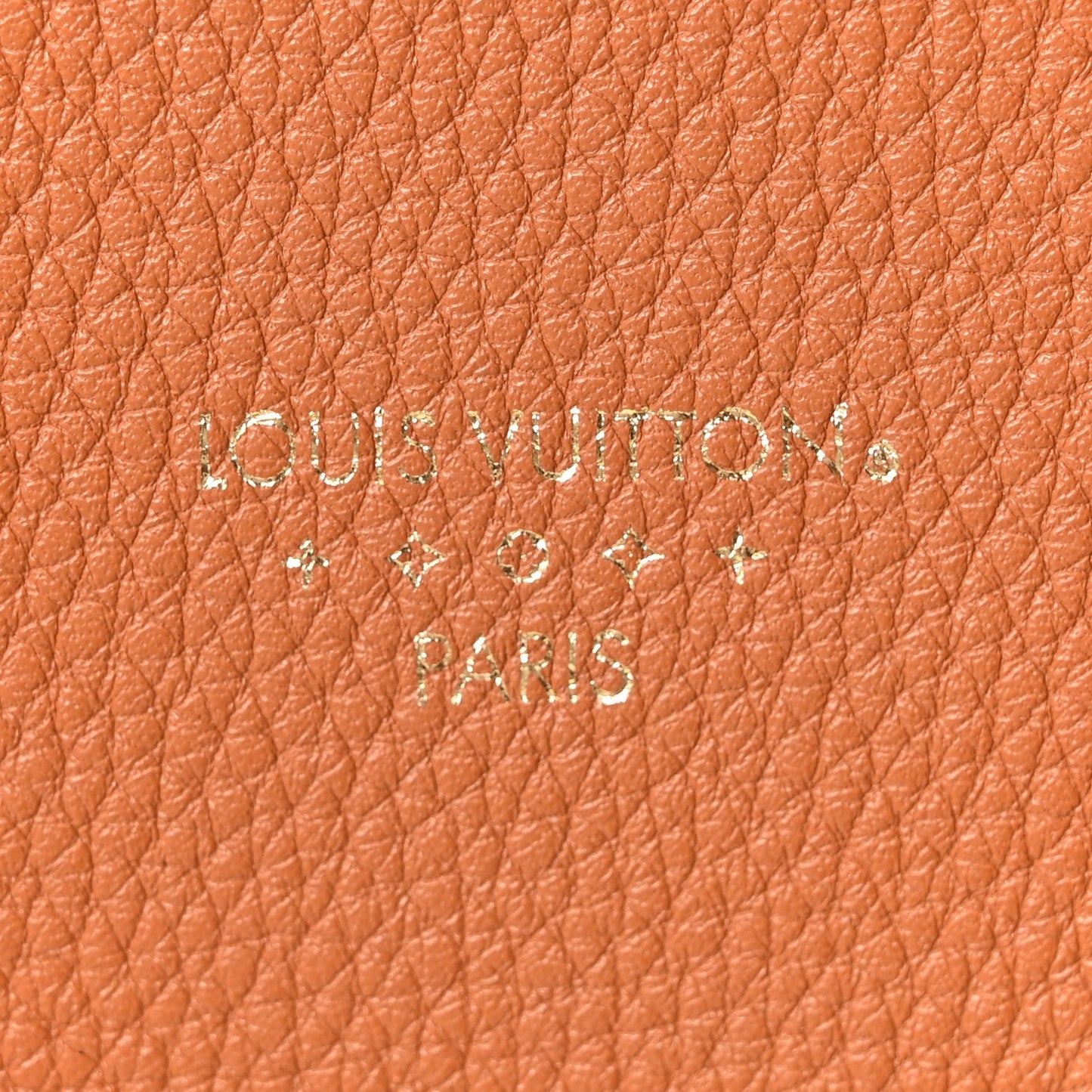 Grained Calfskin LV Pont 9 Soft MM Golden Siena