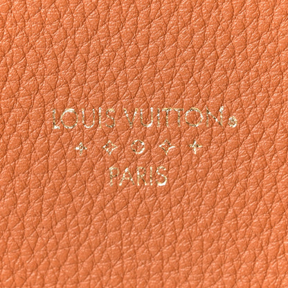 Grained Calfskin LV Pont 9 Soft MM Golden Siena