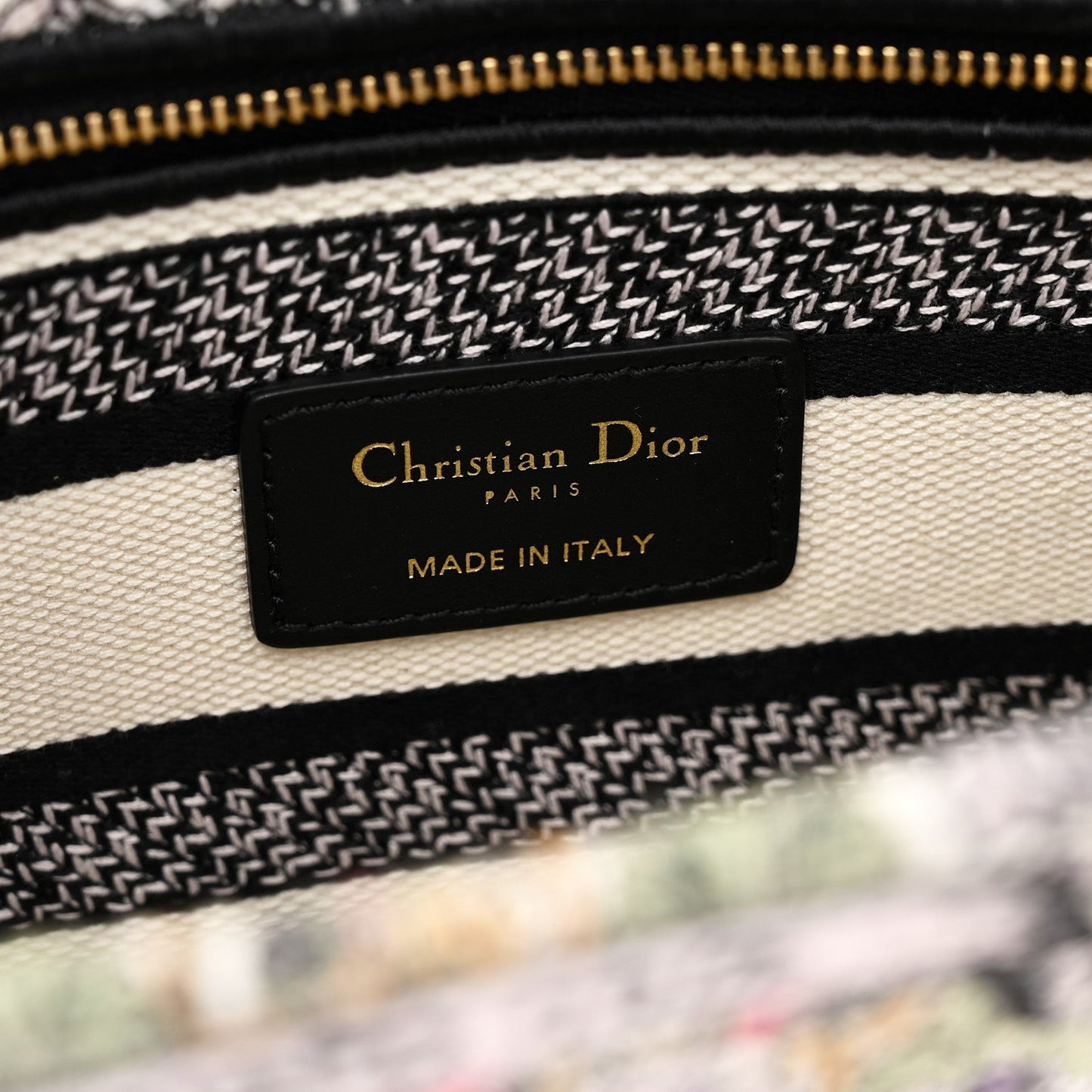 Canvas Around the World Embroidered Medium Lady D-Lite White Multicolor