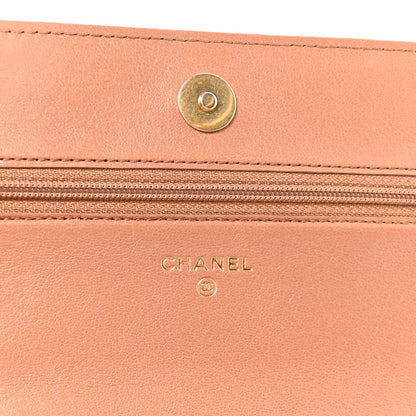 Lambskin Quilted Chanel 19 Wallet On Chain WOC Brown
