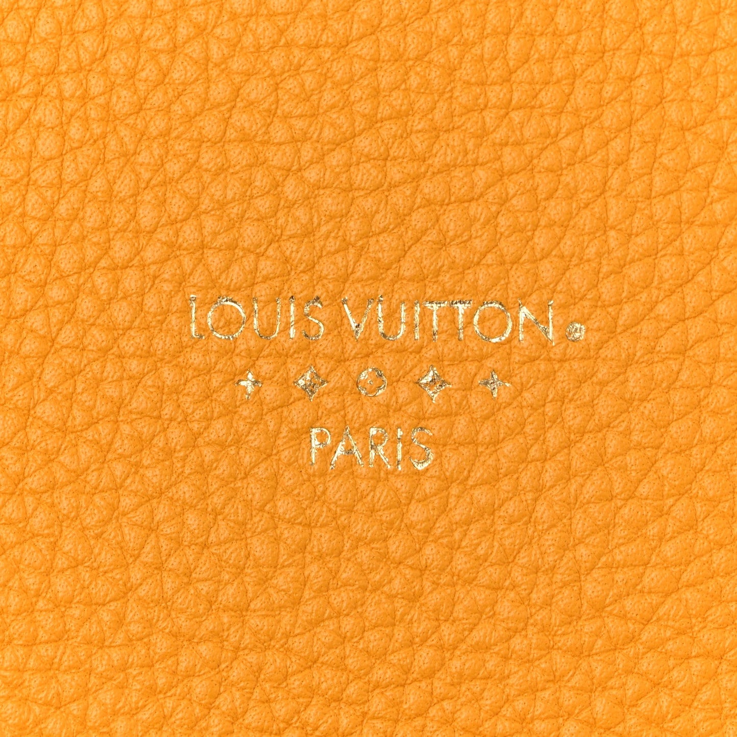 Grained Calfskin LV Pont 9 Soft PM Sunbeam