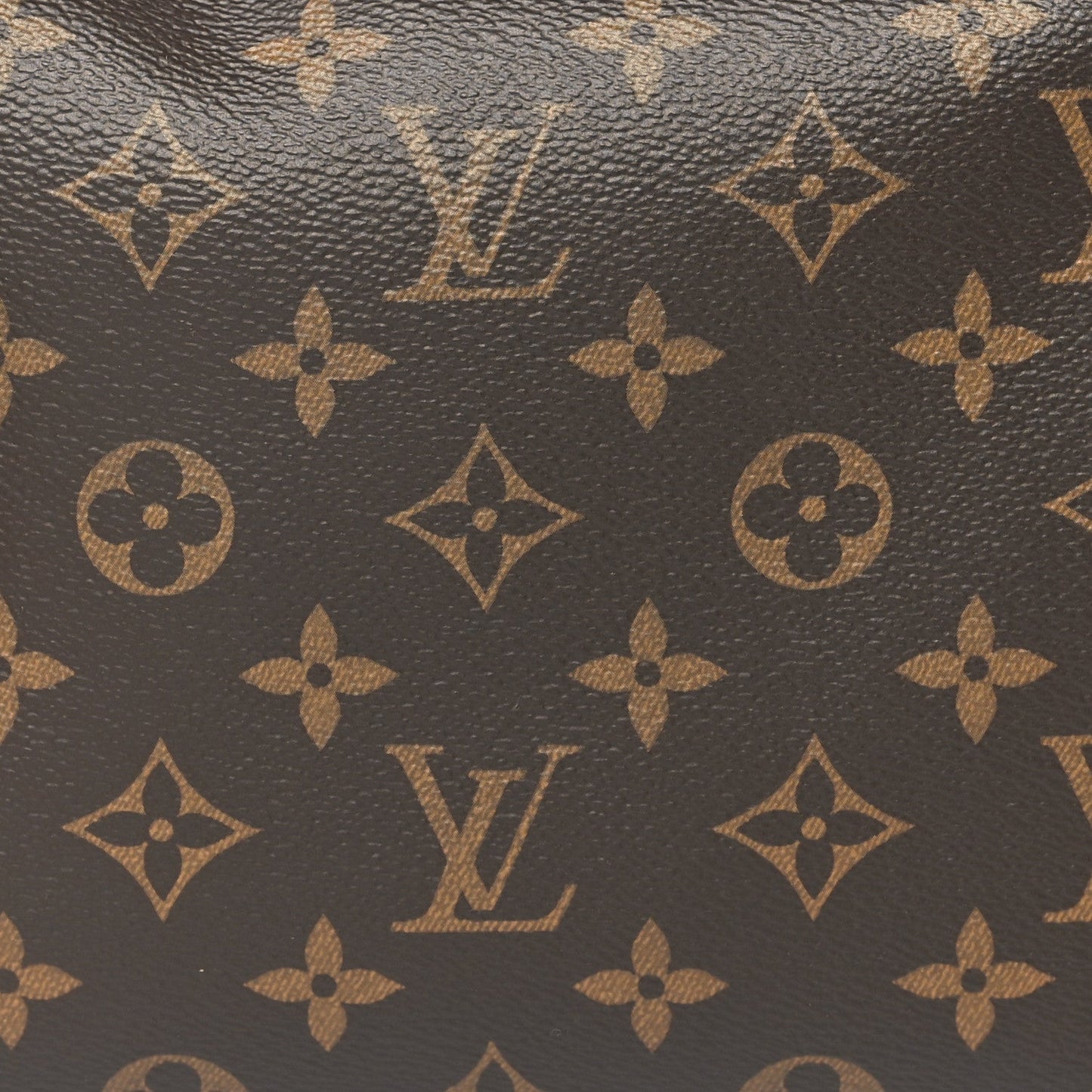 Monogram Side Trunk