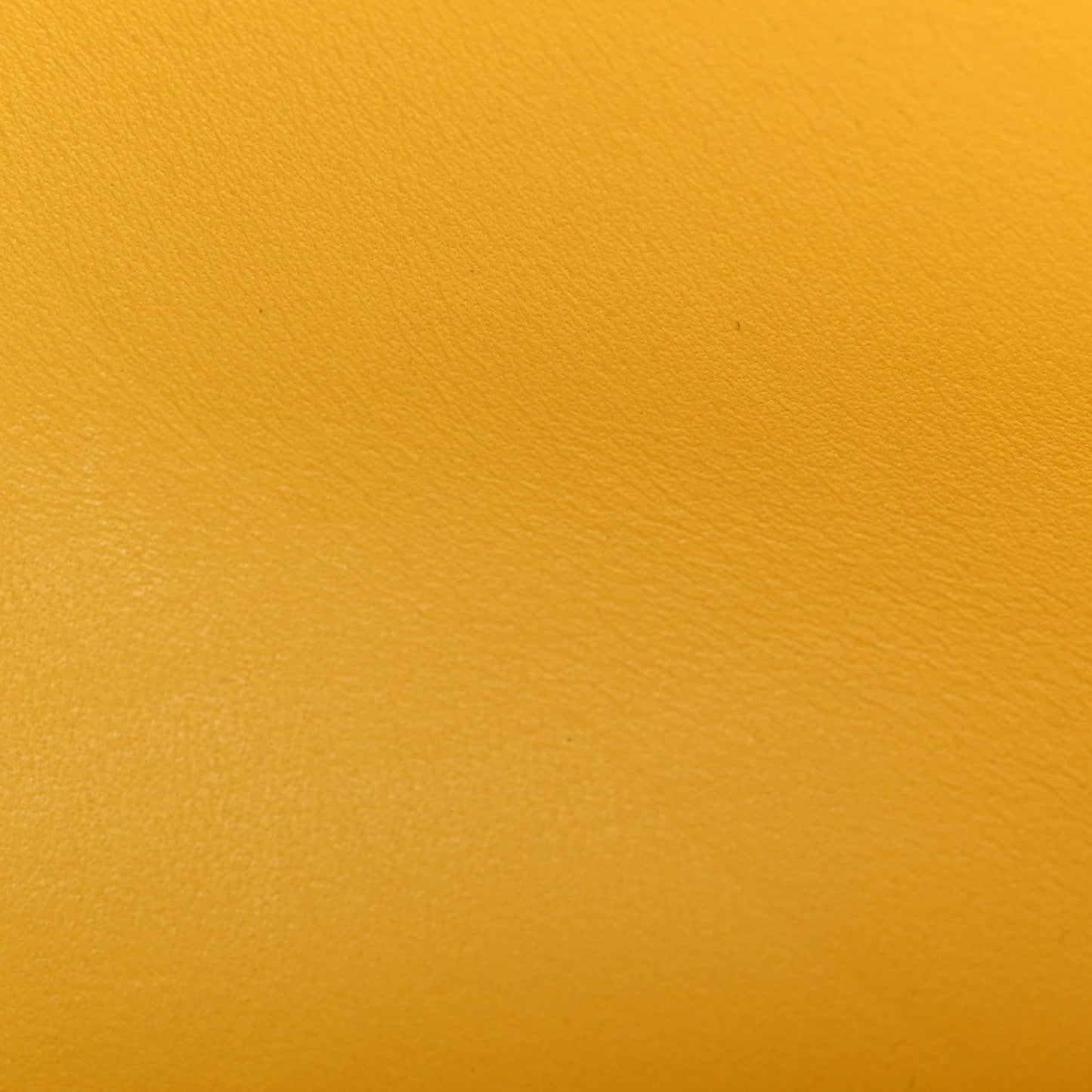 Chevre Mysore Constance 18 Jaune De Naples