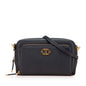 Dior Caro Double Pouch Calfskin 2way Shoulder Bag